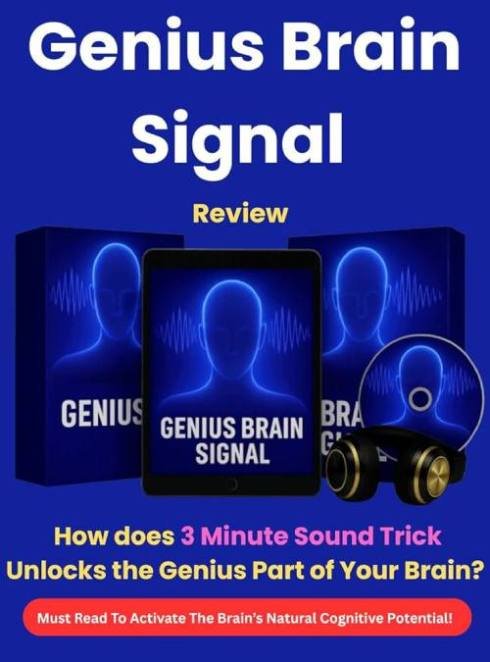 Diagram showing how Genius Brain Signal audio program works through sound patterns